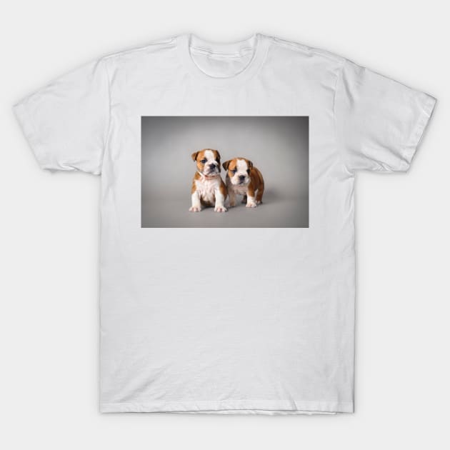 Bulldog puppies T-Shirt by PetsArt